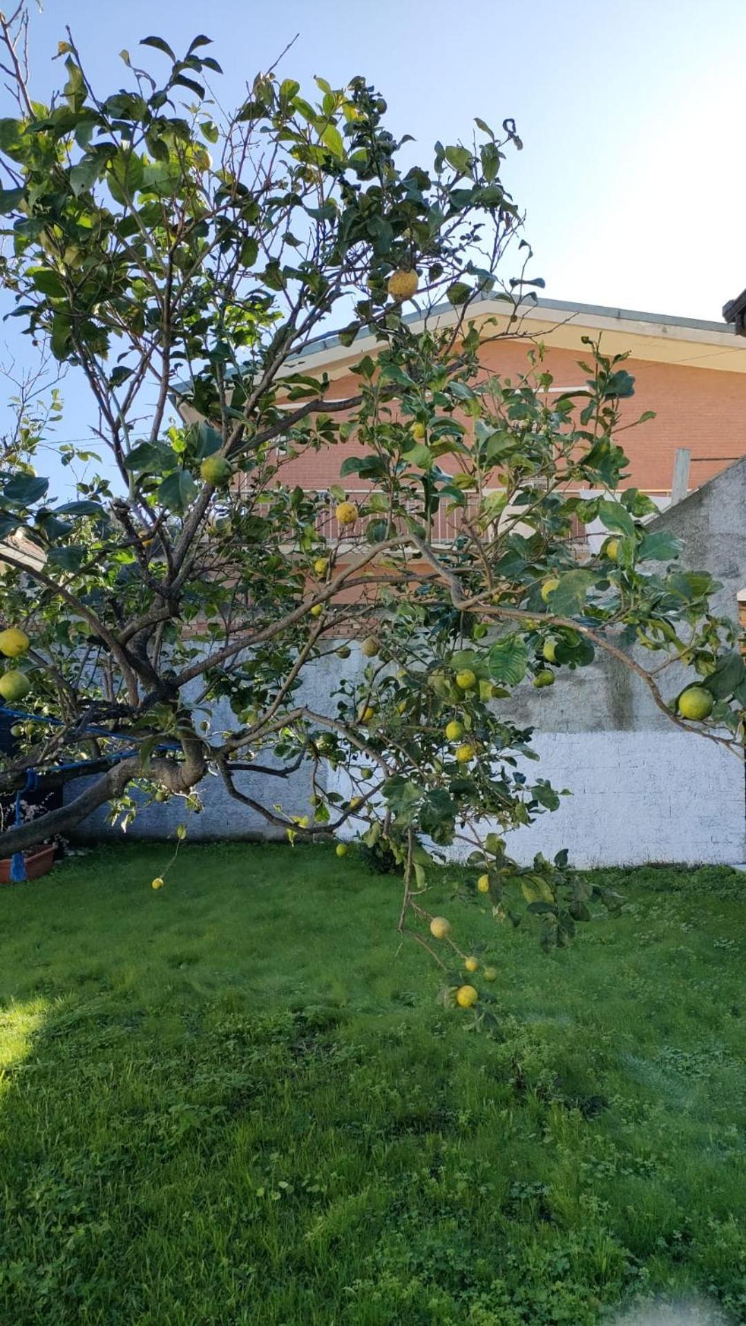 Ndiscialamu Casa Vacanze Palmi Zewnętrze zdjęcie